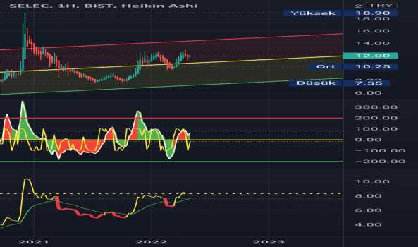 SELEC (Selec ) Teknik Analiz ve Yorum - SELCUK ECZA DEPOSU