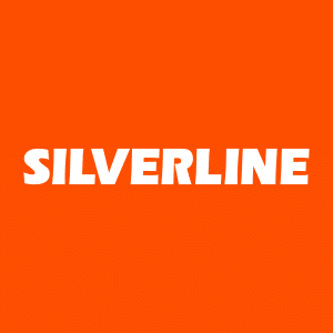 SILVR destek seviye izlenimi - SILVERLINE ENDUSTRI